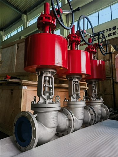 일반 글로브 밸브